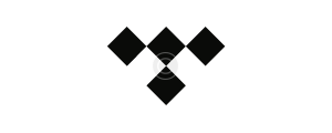 Logo Image Copyright 47